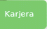 Karjera